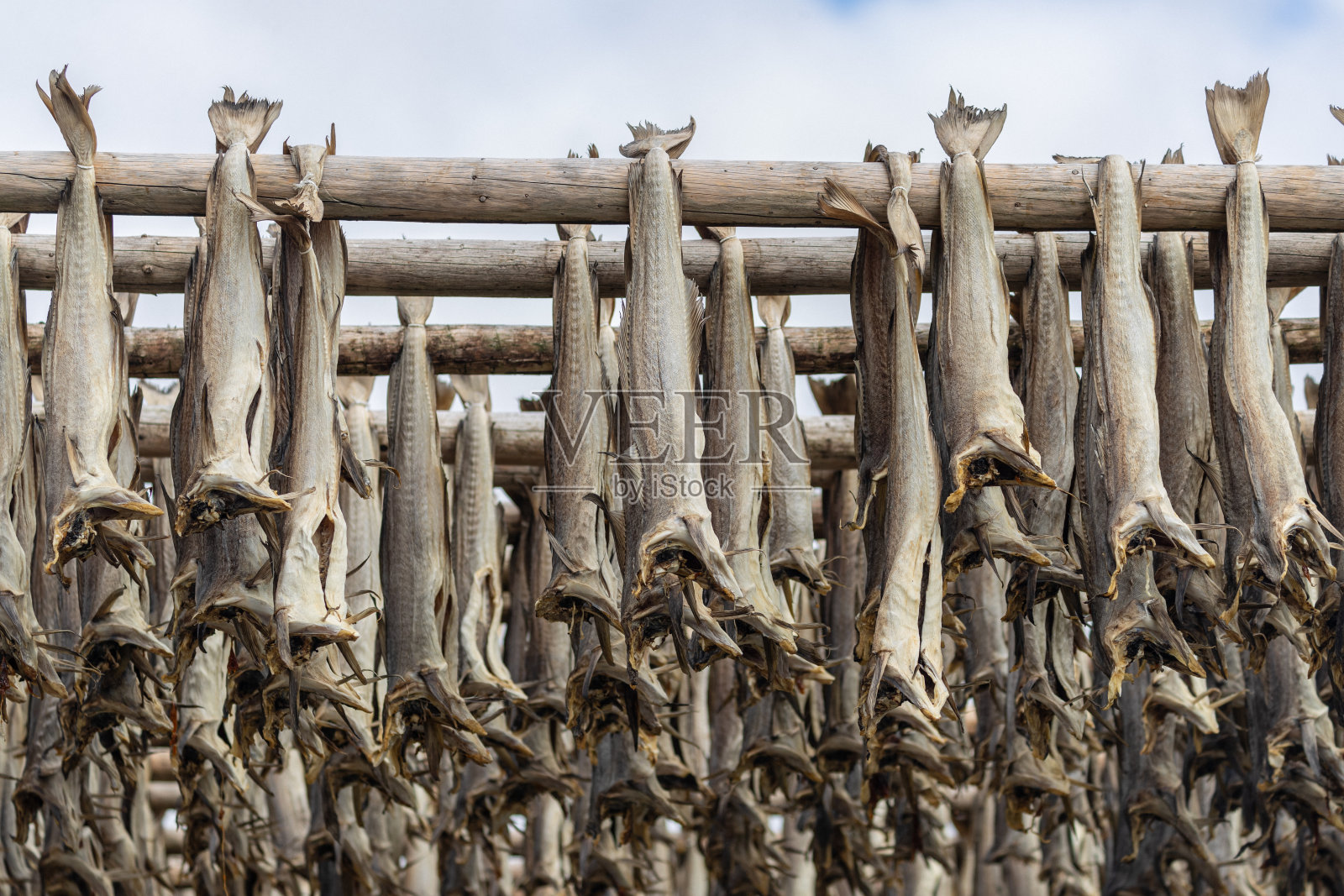 挪威罗浮敦群岛的Stockfish货架:鳕鱼捕鱼业照片摄影图片