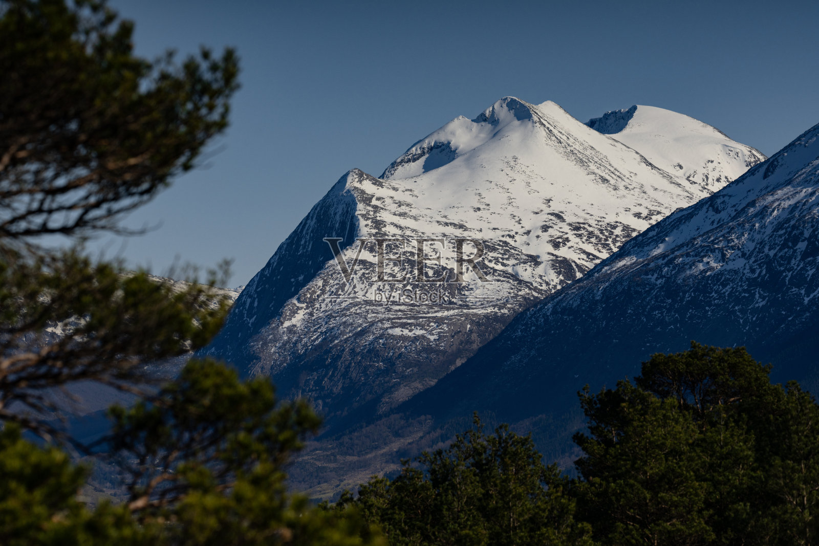挪威的户外:森林和雪山照片摄影图片