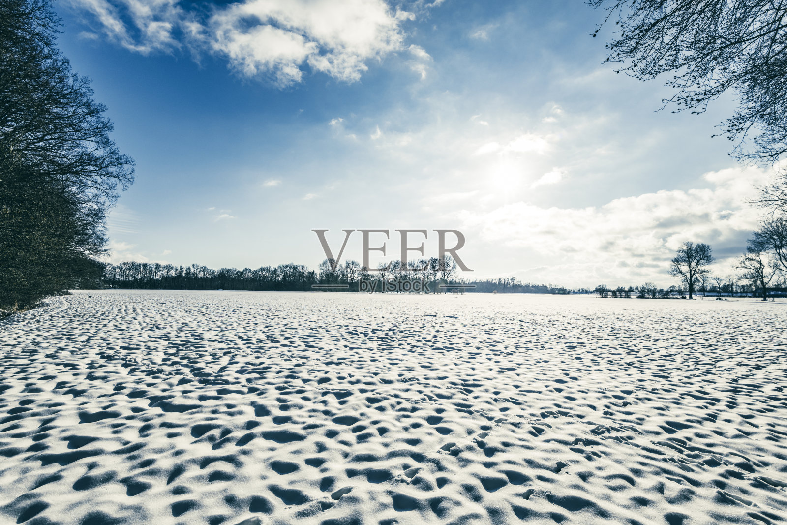 雪景在一个美丽的冬日照片摄影图片