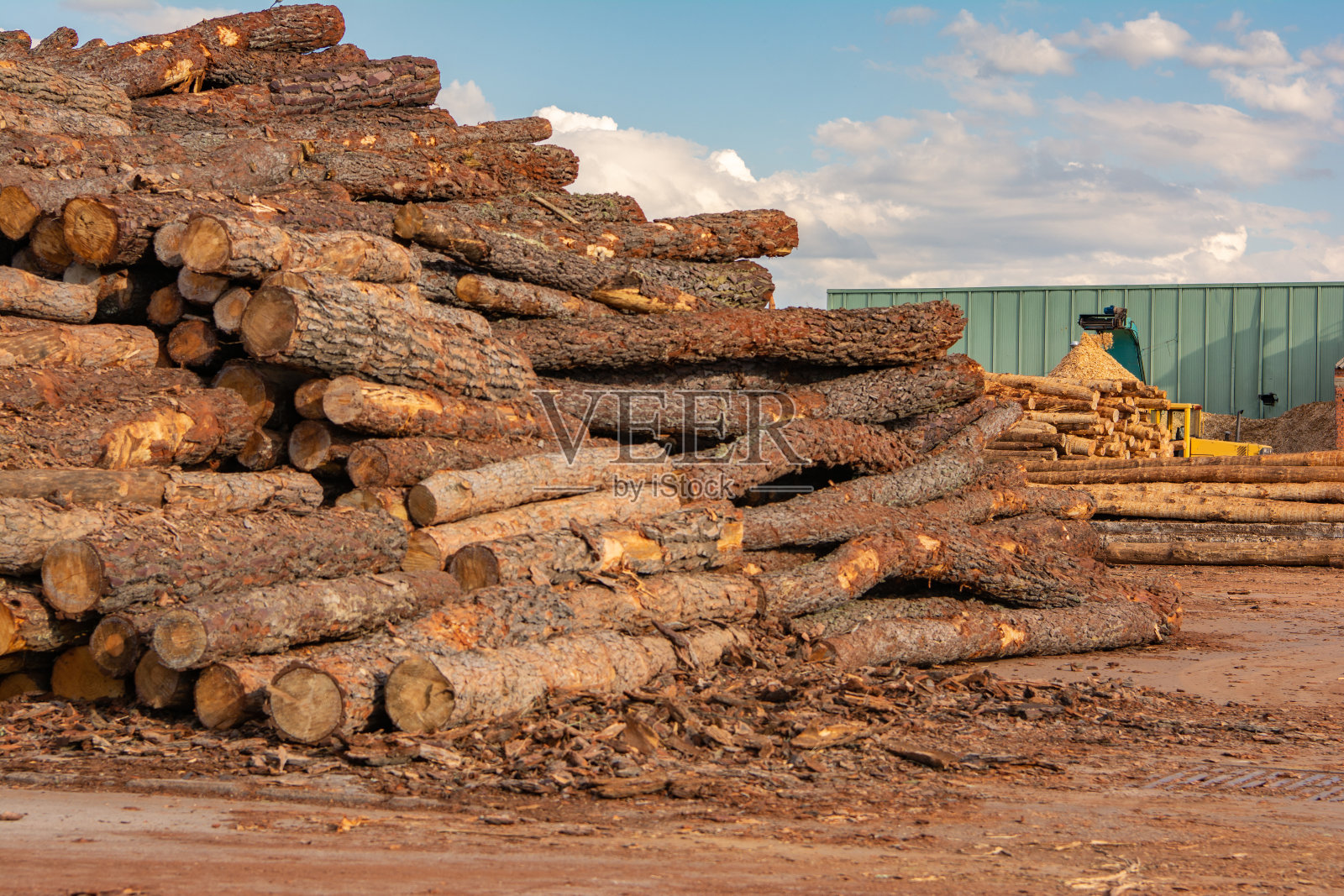 一堆在锯木厂用于进一步加工成球团的松木照片摄影图片