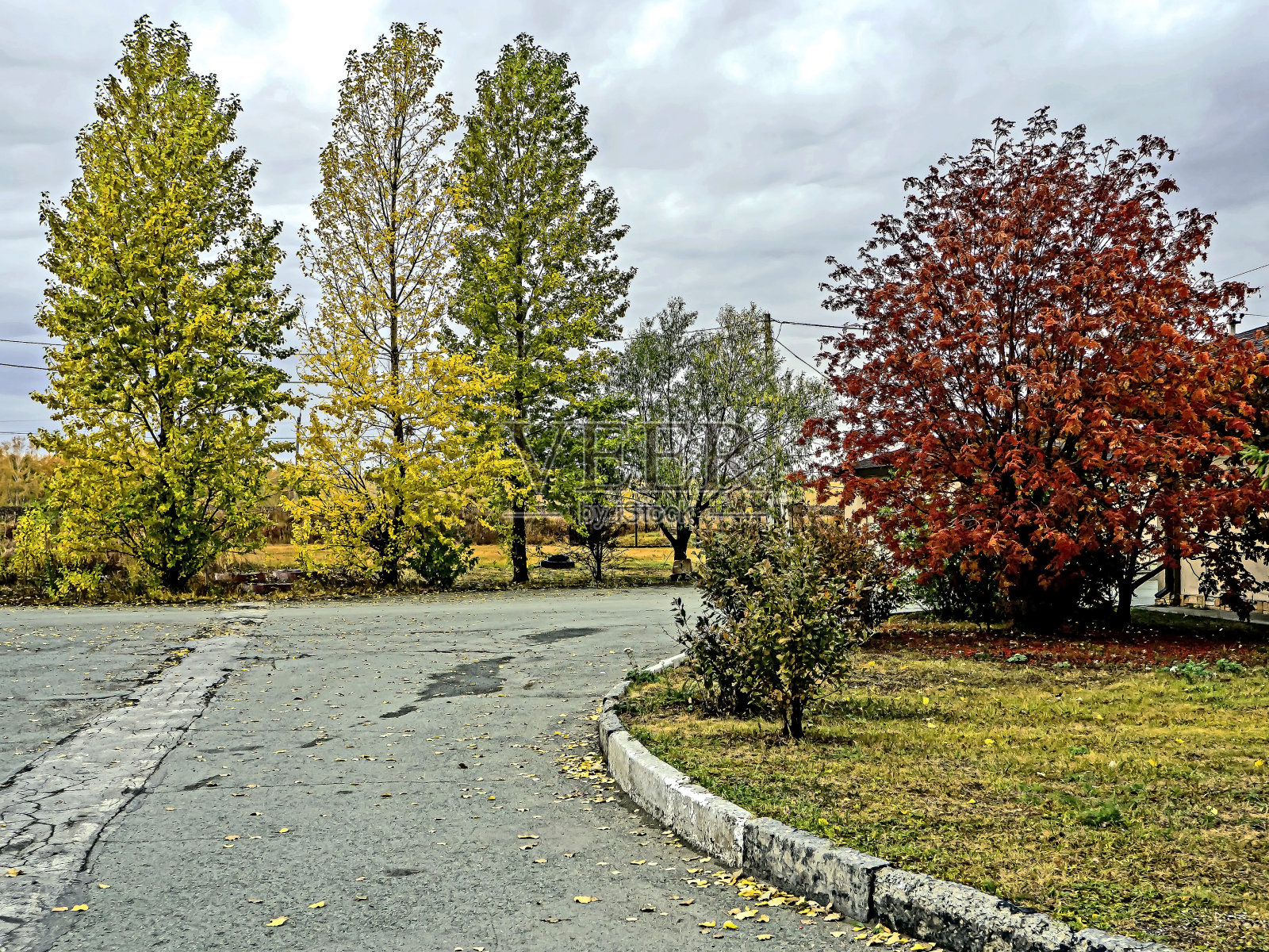 乌拉尔南部美丽的金色秋天照片摄影图片