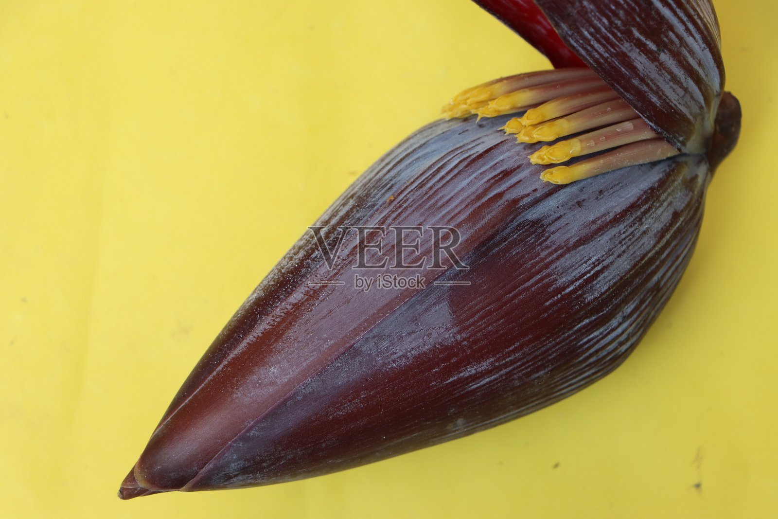 黄色背景上的香蕉花头照片摄影图片