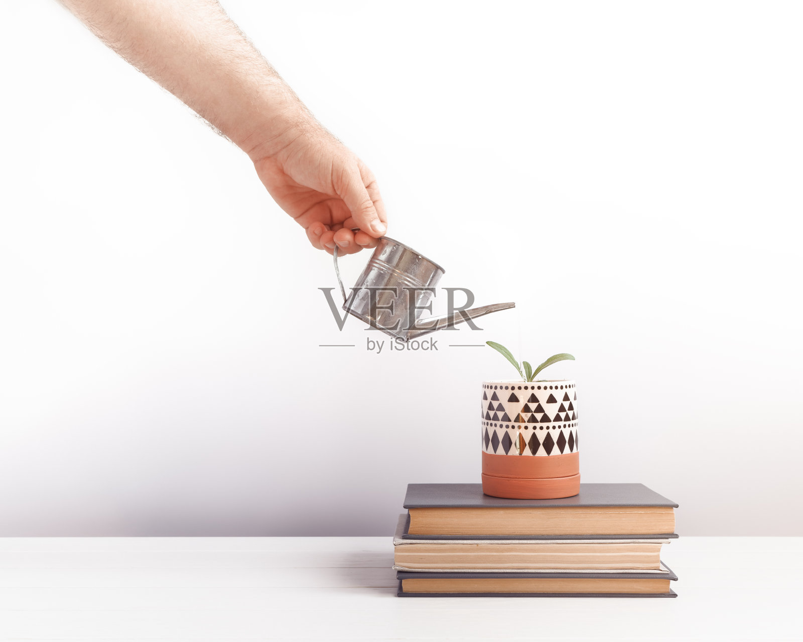 人手拿着一个金属喷壶，在一堆书的花盆里给植物或草浇水。照片摄影图片