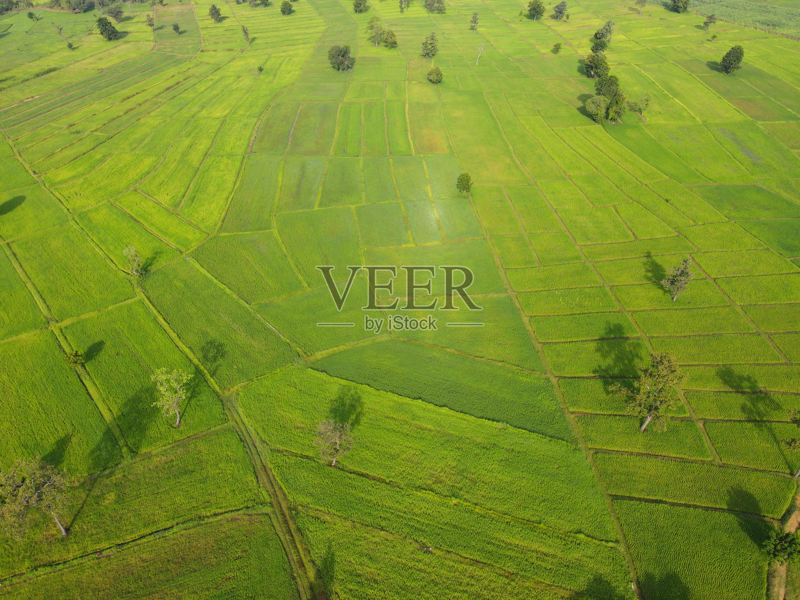 鸟瞰草甸照片摄影图片