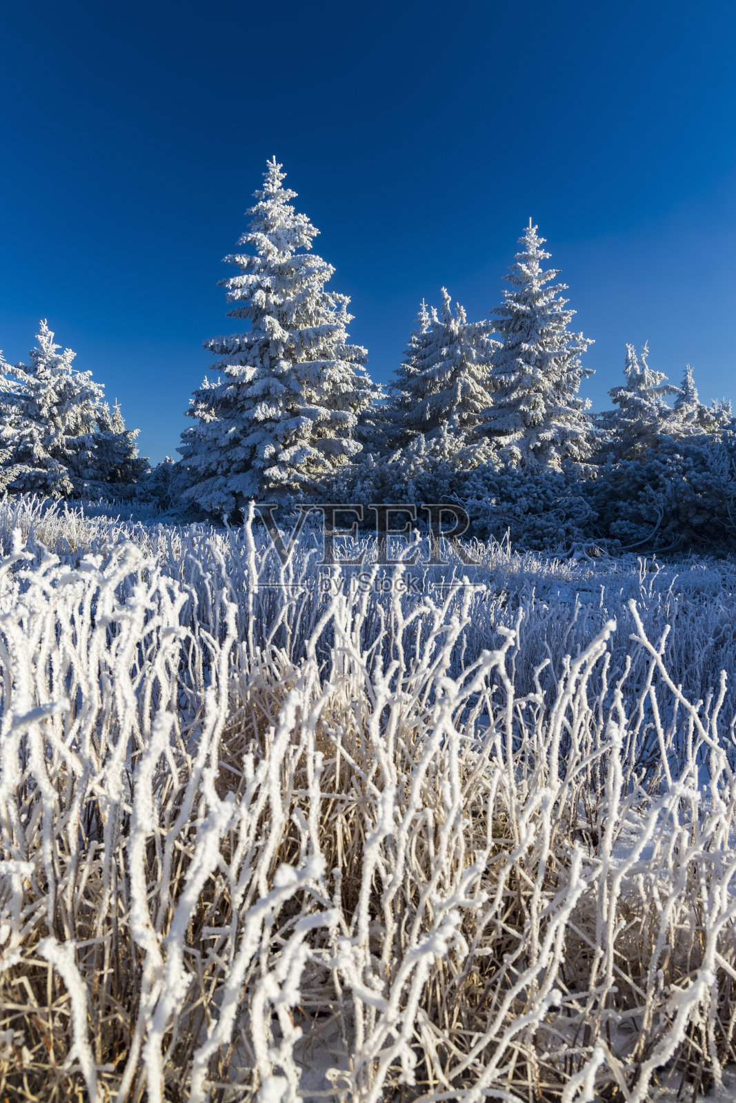 捷克共和国，东波西米亚，奥尔利克山脉附近的冬季景观照片摄影图片