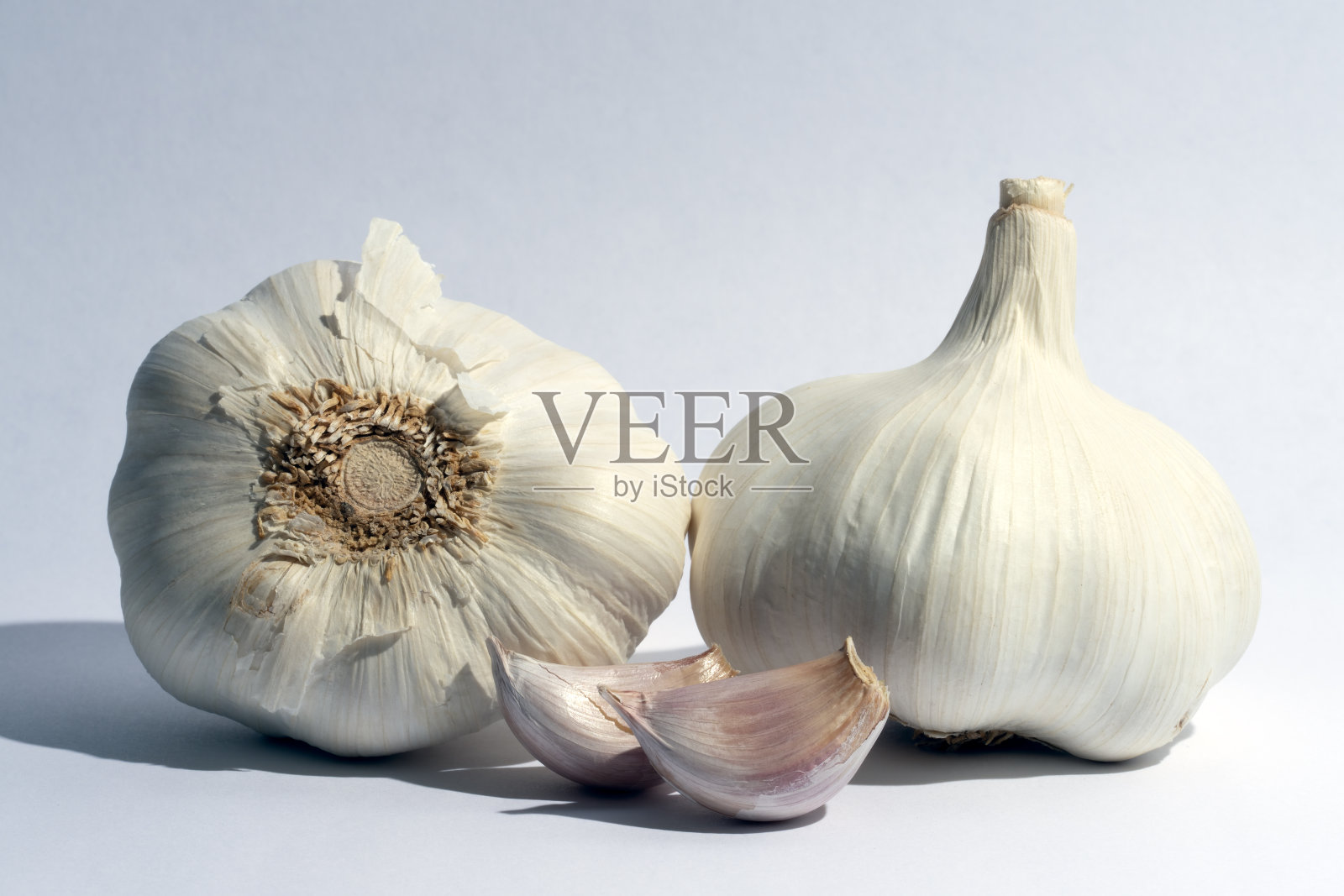 大蒜在白色背景与梯度。照片摄影图片