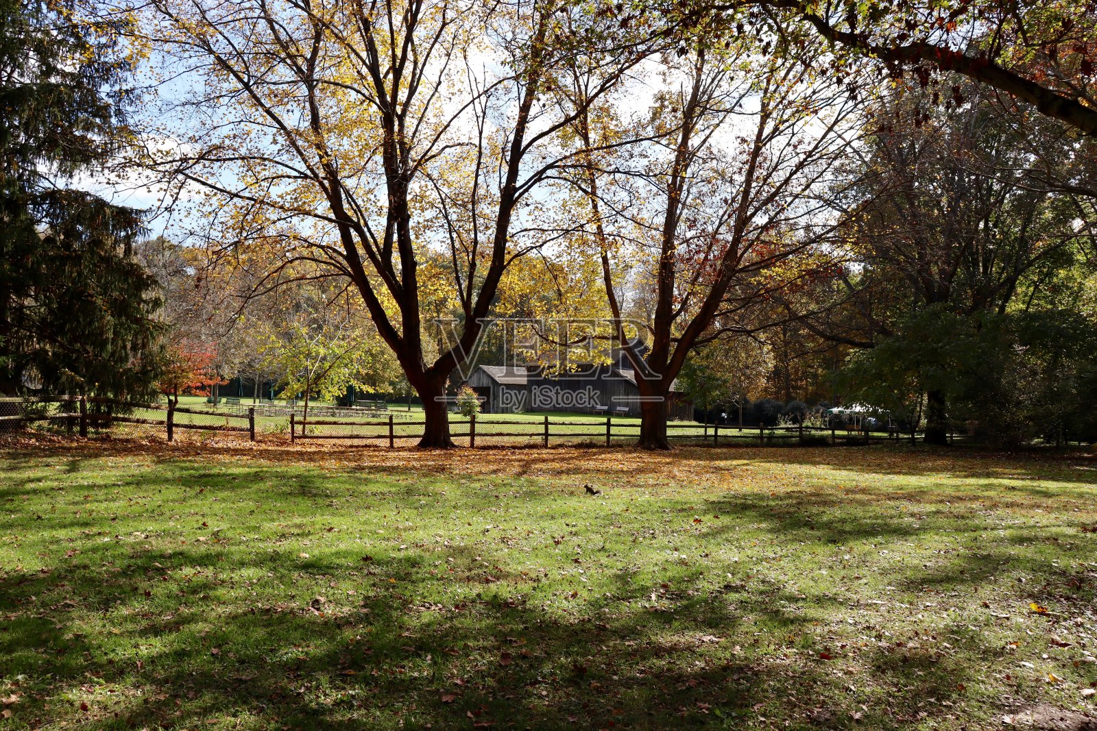 乡下的谷仓照片摄影图片
