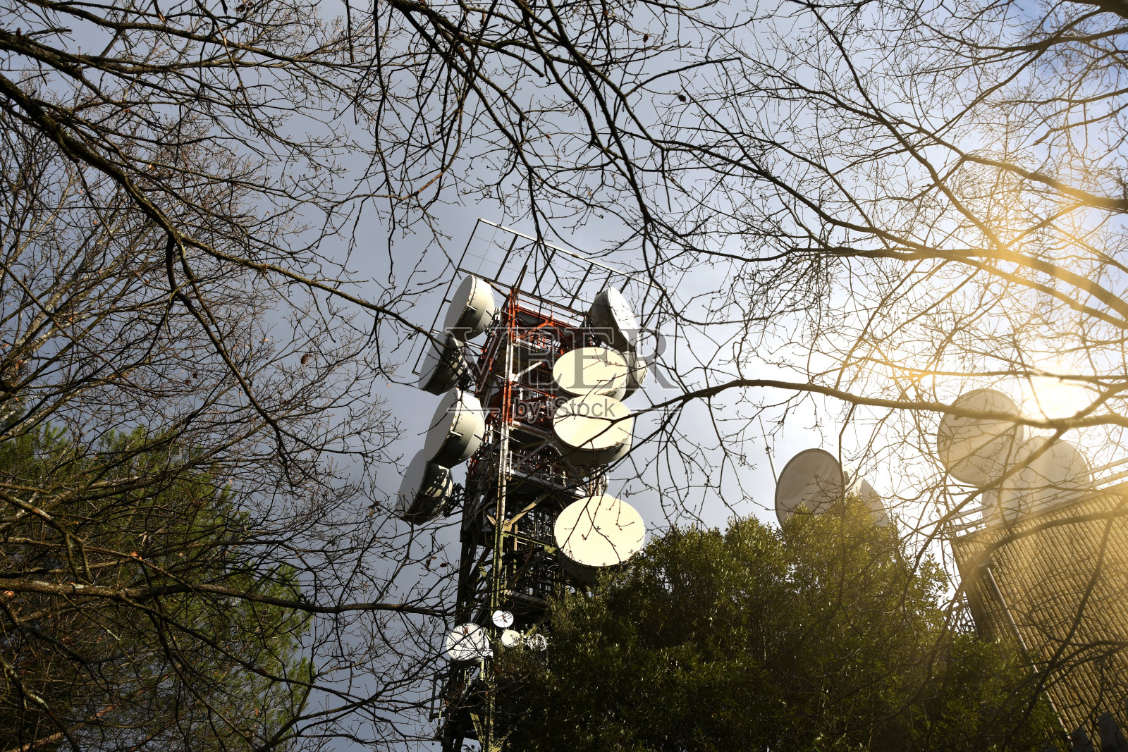 森林中电信塔的细节。电信铁塔设有电视天线和微波天线，4g无线链路和5g一代的分布照片摄影图片
