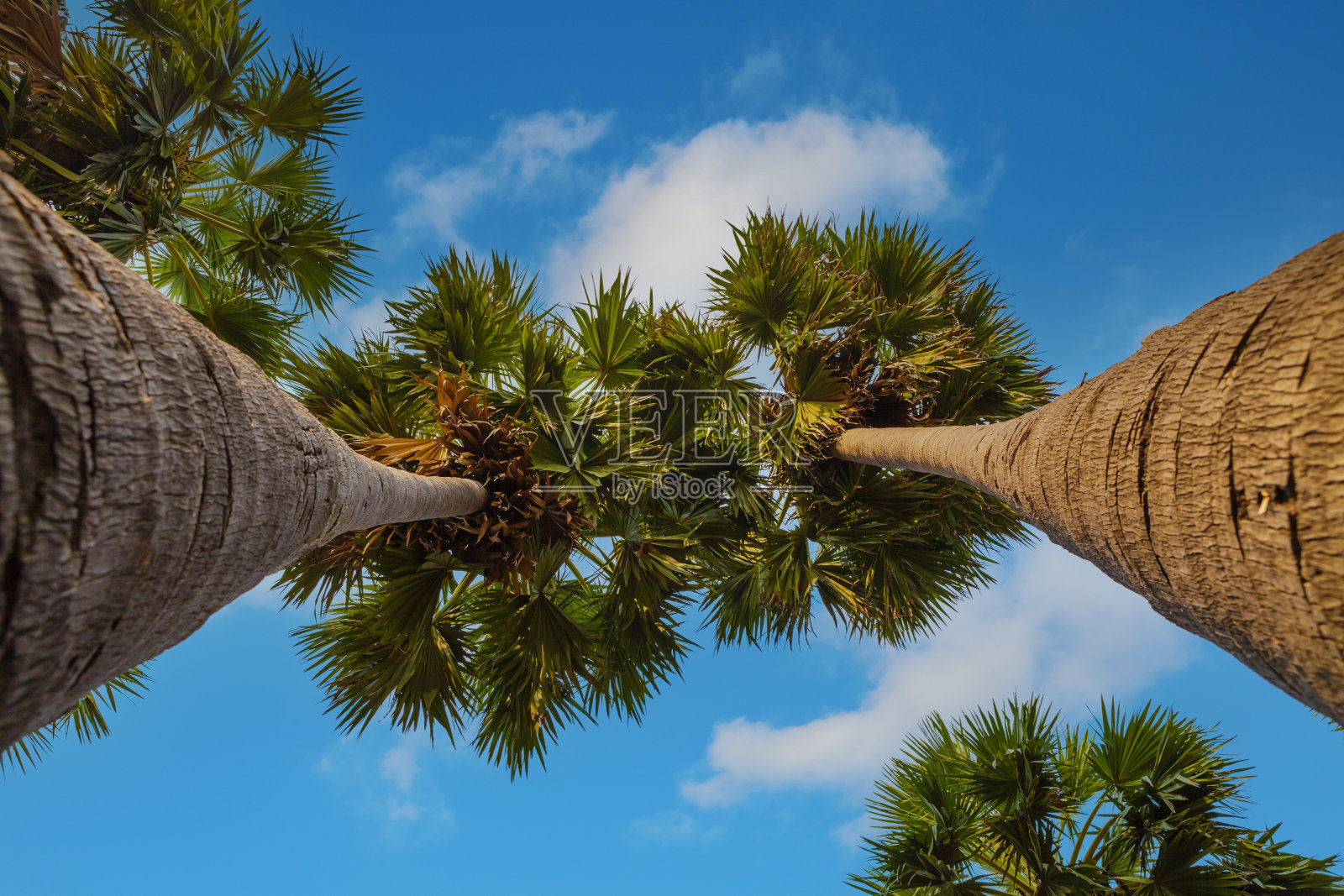 双掌相依蓝天多云，是个不错的度假胜地。热带旅游目的地照片摄影图片