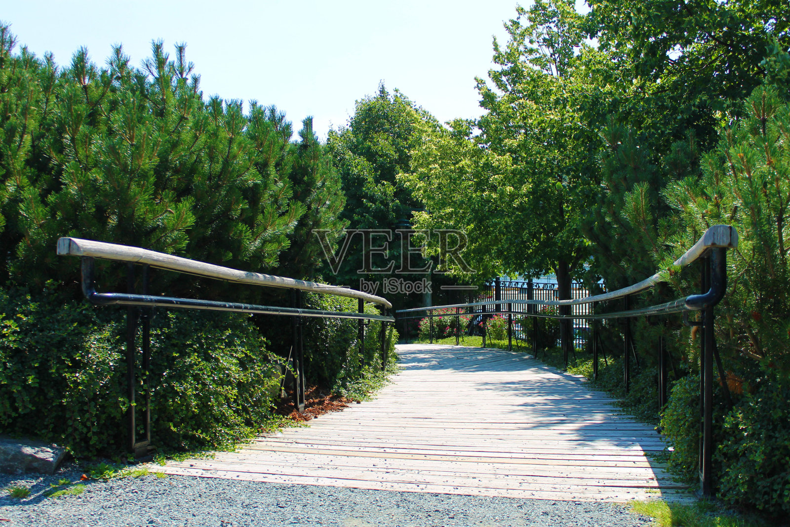 沿途有树的木板路照片摄影图片