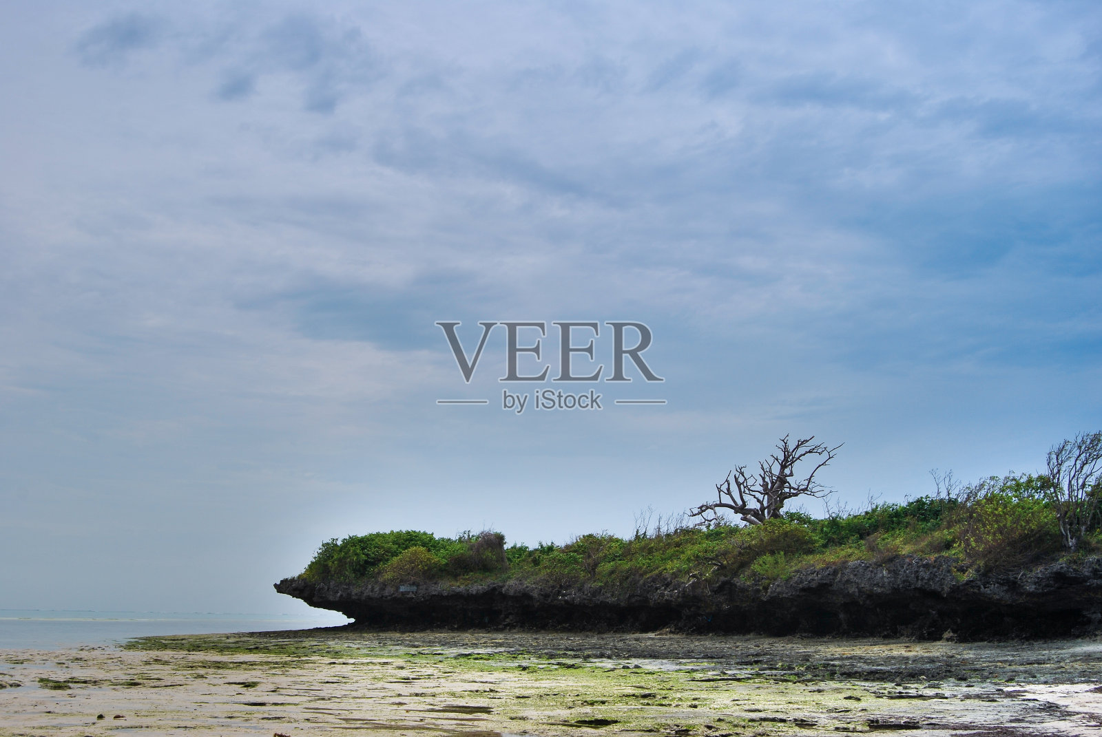 印度洋桑给巴尔海岸的落潮照片摄影图片