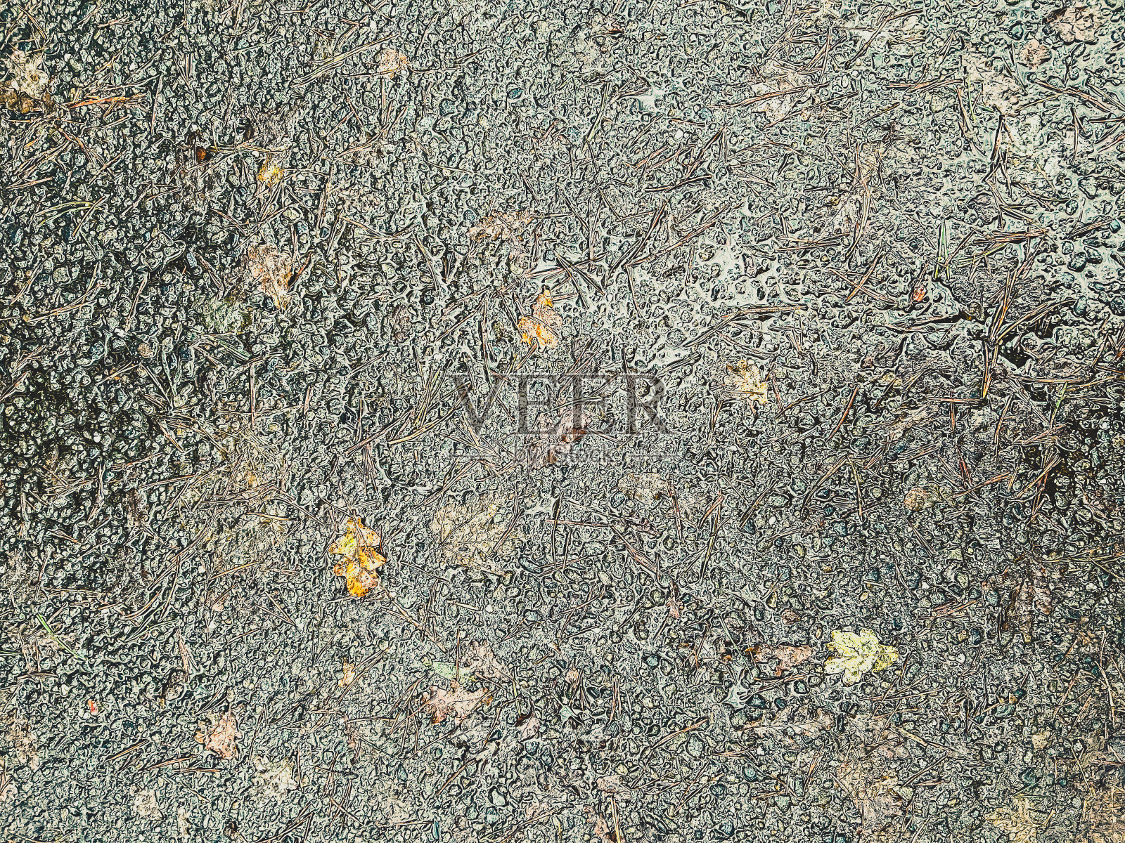 又湿又脏，还有一些树叶的混凝土。照片摄影图片