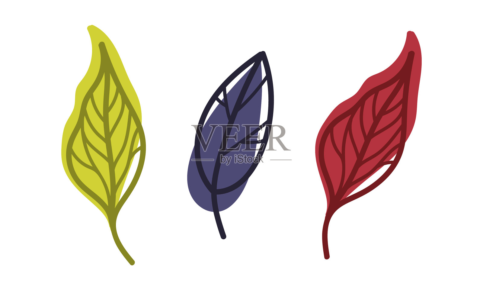 秋叶多彩，叶脉分明插画图片素材