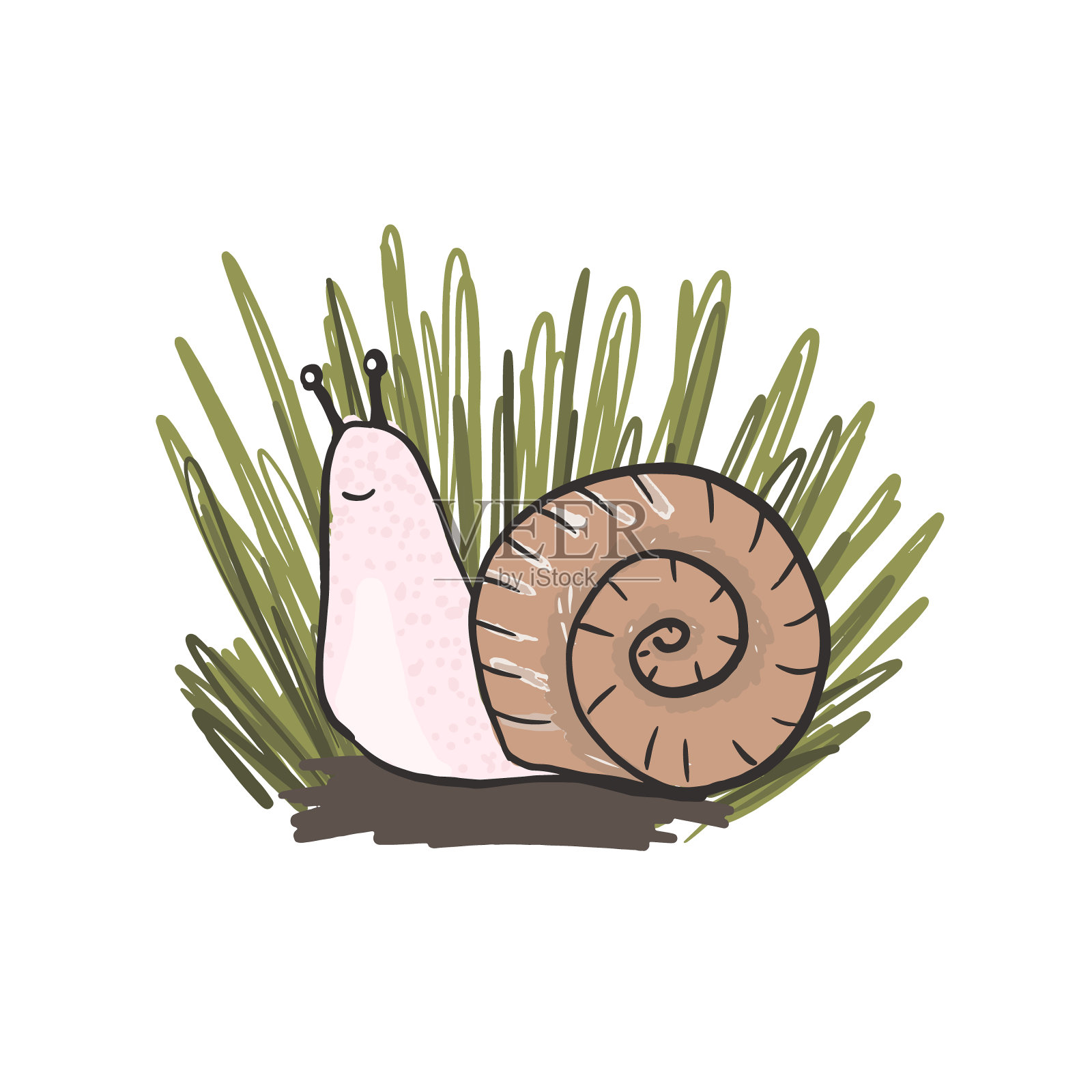 可爱的手绘棕色蜗牛在草插画图片素材