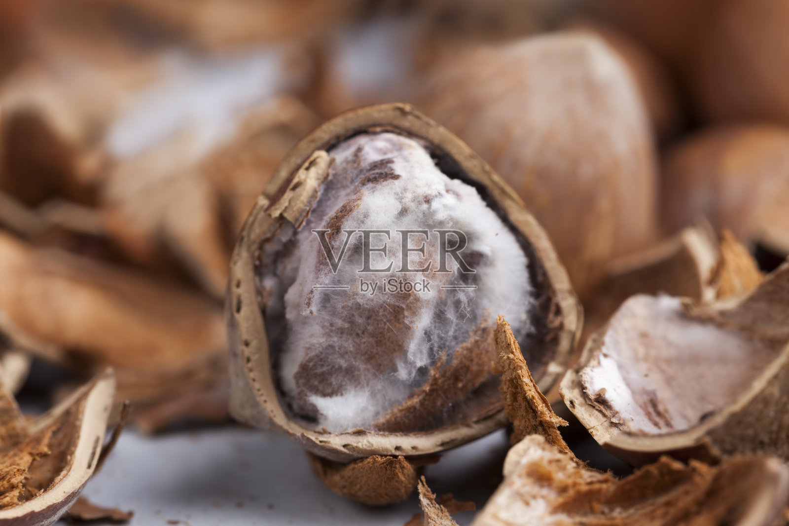 去壳的榛子照片摄影图片