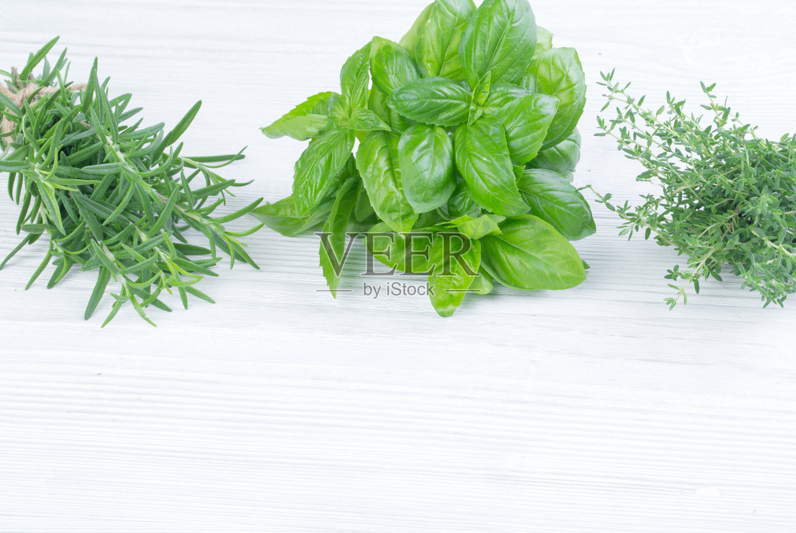 群rosemari照片摄影图片