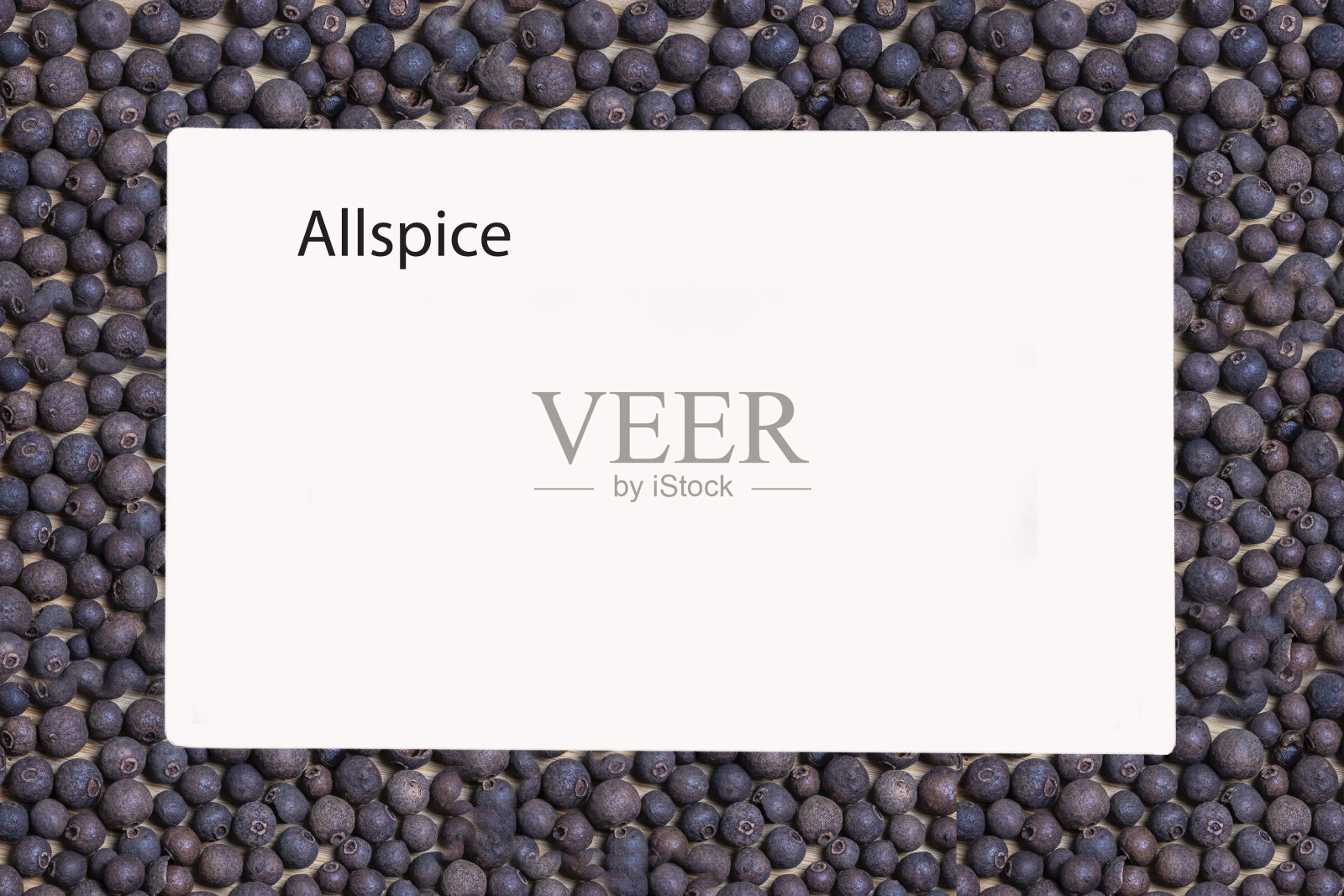 洋椒-香料新香料整个。在中间是一个白色区域的指示。照片摄影图片