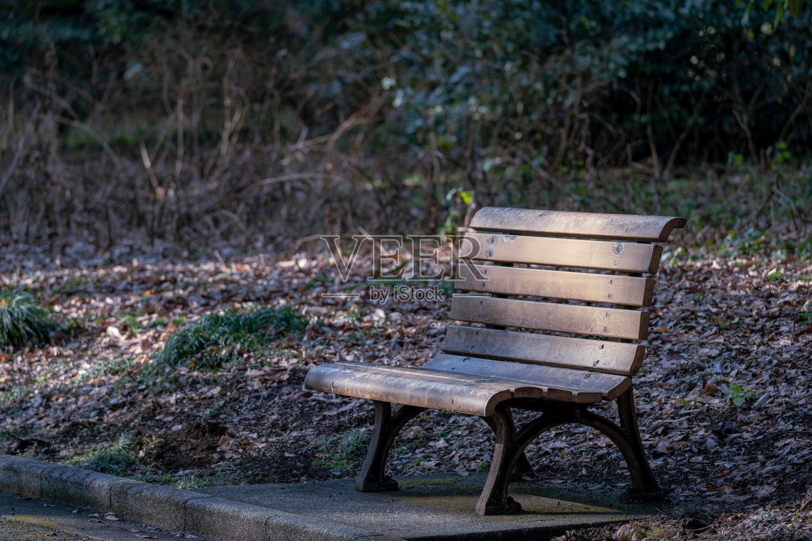 东京新宿区一座公园的景色照片摄影图片