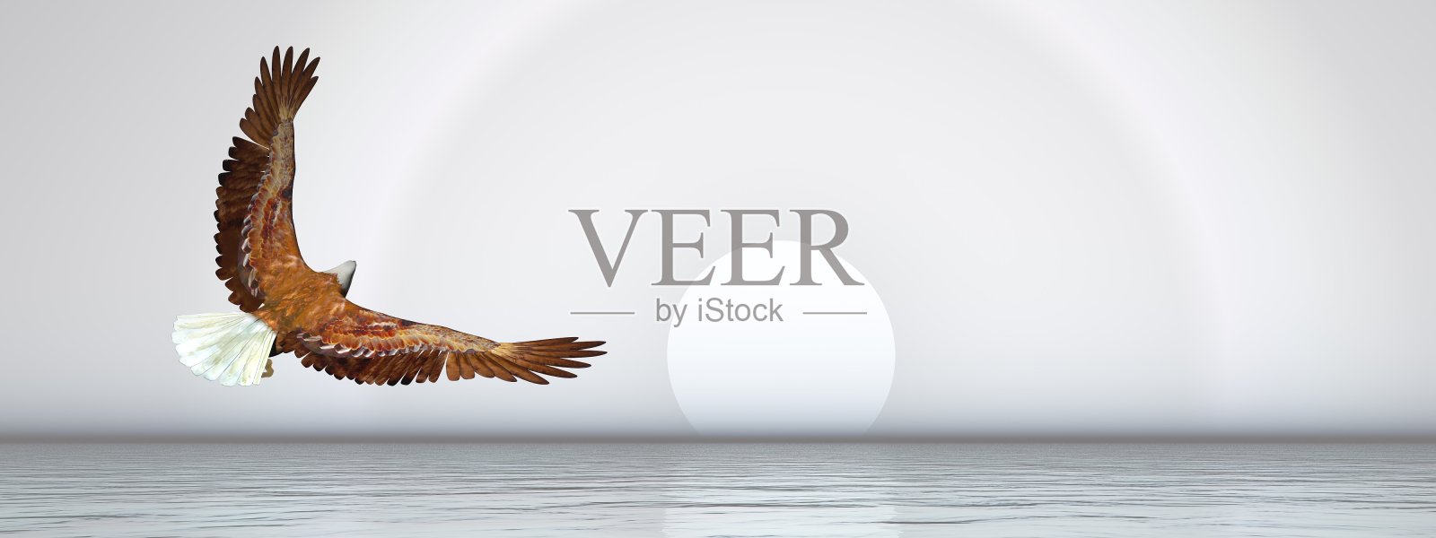 老鹰飞越海洋- 3D渲染照片摄影图片