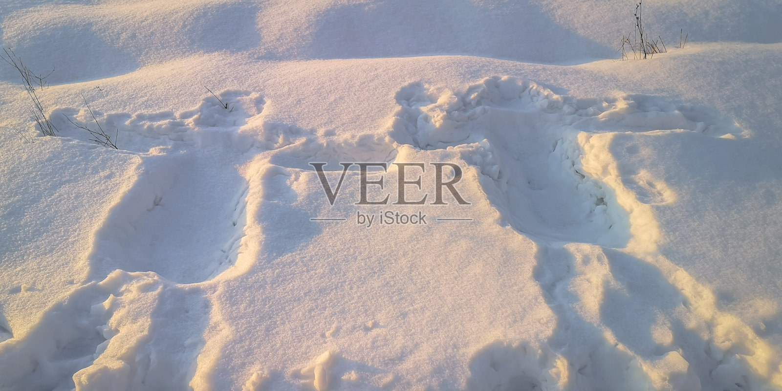 一个人的身体印在雪中的天使的形状照片摄影图片