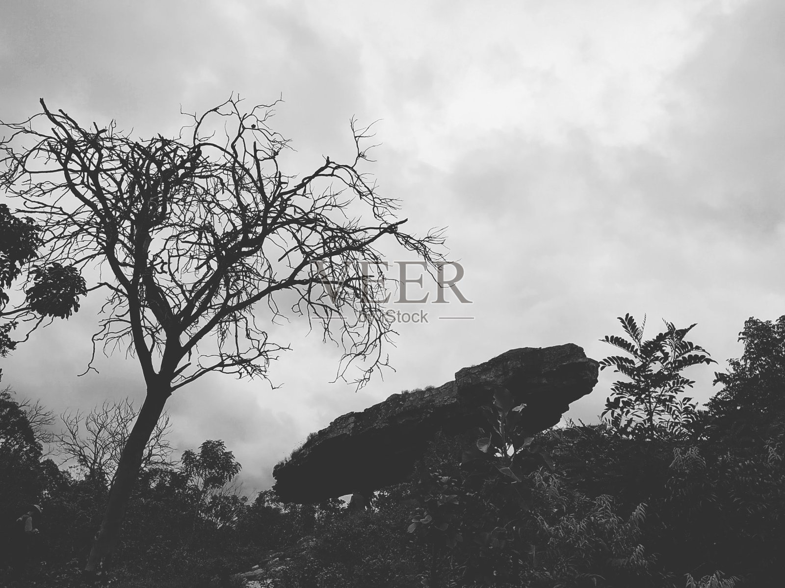 黑暗的本质照片摄影图片