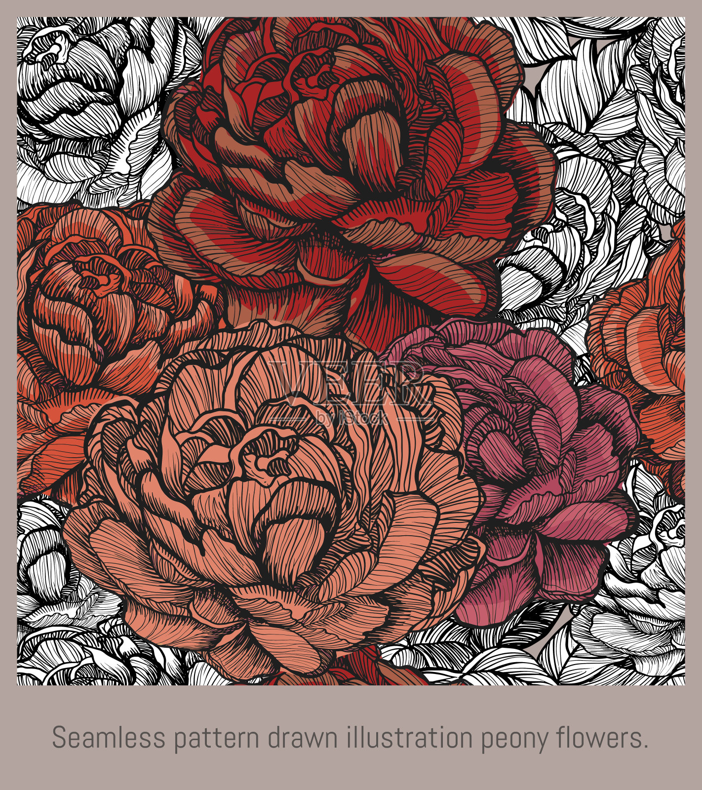 无缝图案艺术盛开的牡丹花。插画图片素材