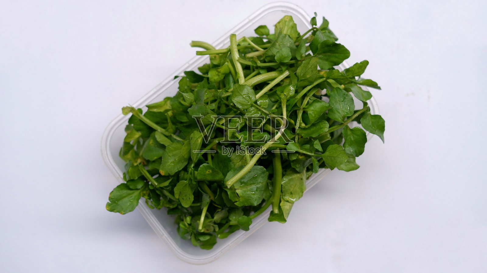 水田芥或黄田芥(旱金莲属)照片摄影图片