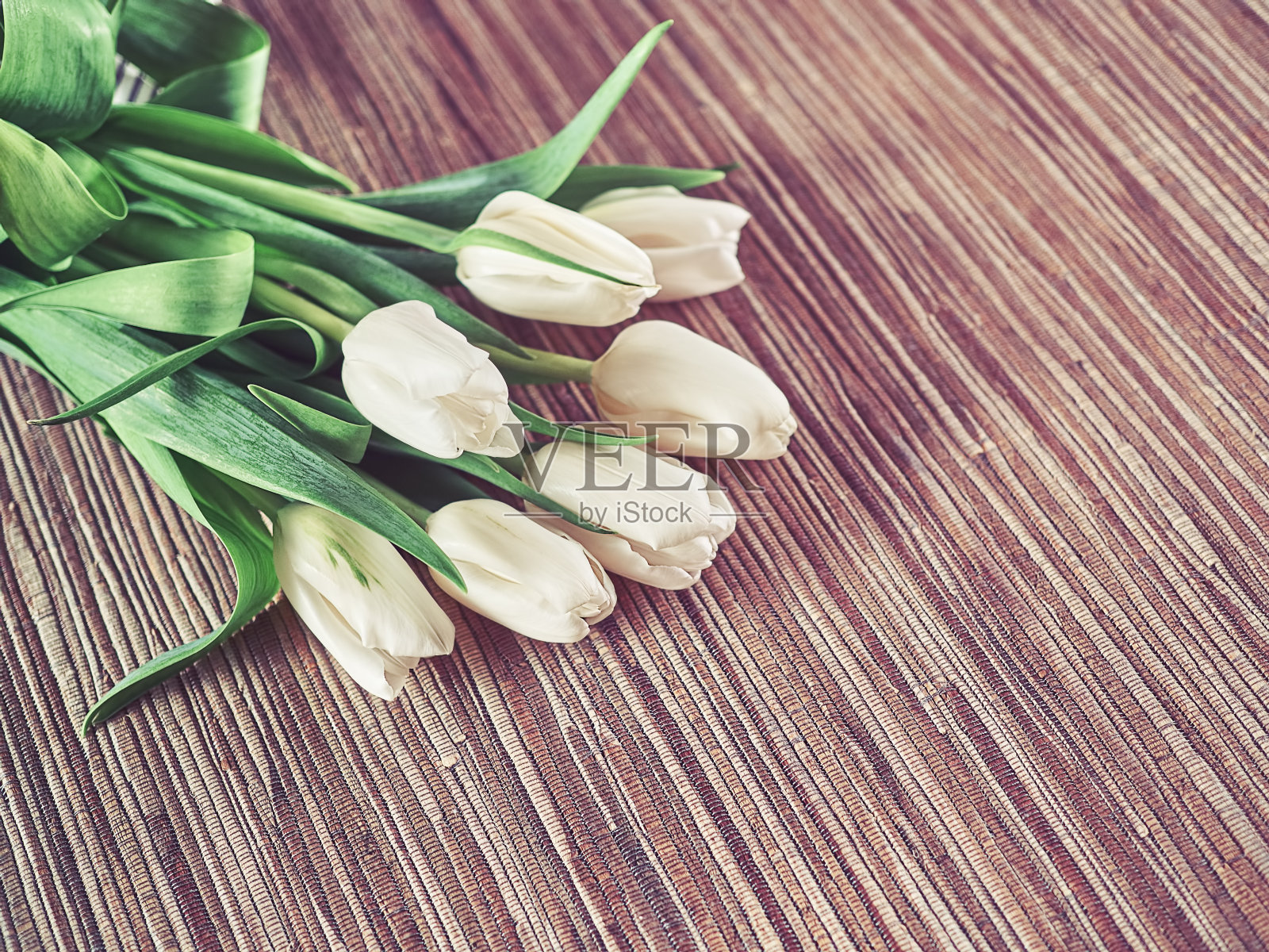一束美丽的白色郁金香和一块木制台布放在桌子上。贺卡或祝福的庆祝背景照片摄影图片