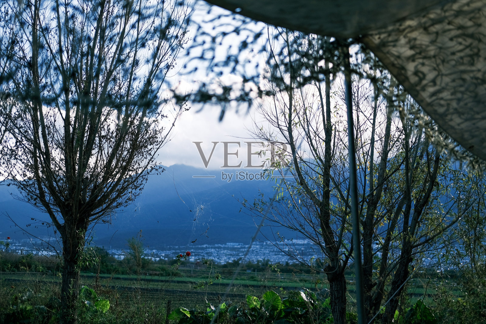 蓝天下的草地和山脉照片摄影图片