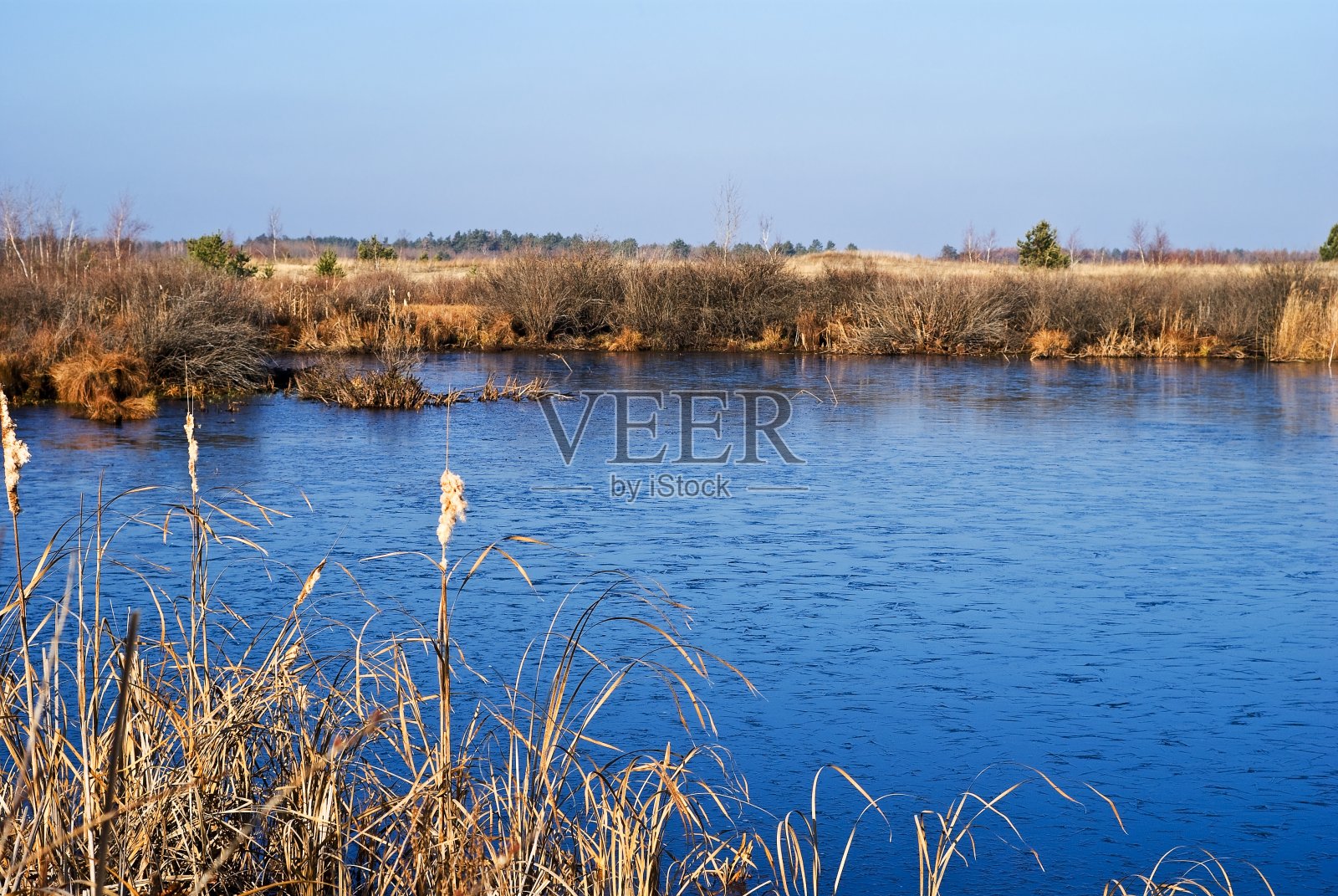 草原上的夏季湖泊照片摄影图片