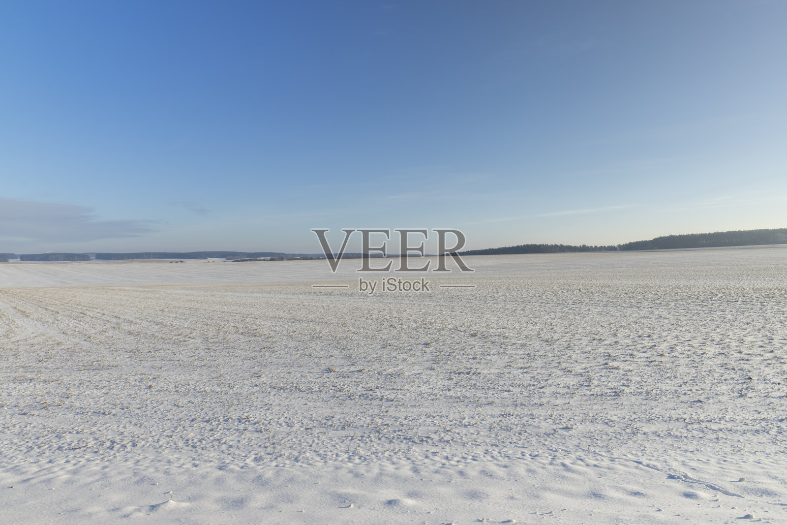 冬去春来，大雪纷飞照片摄影图片