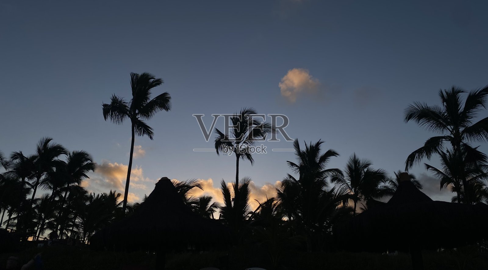 手掌在日落照片摄影图片