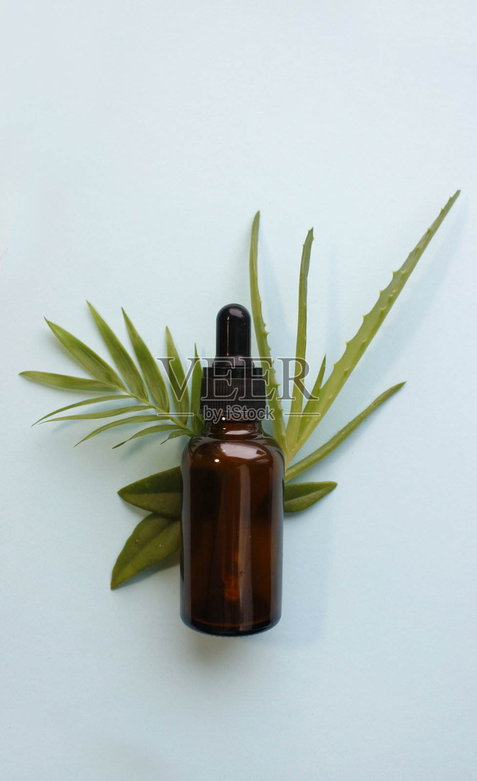 平整的化妆品，血清和实验室玻璃器皿与新鲜的芦荟叶明亮的绿色背景。有机化妆品。俯视图平躺，复制空间。化妆品，SPA品牌，模型。照片摄影图片