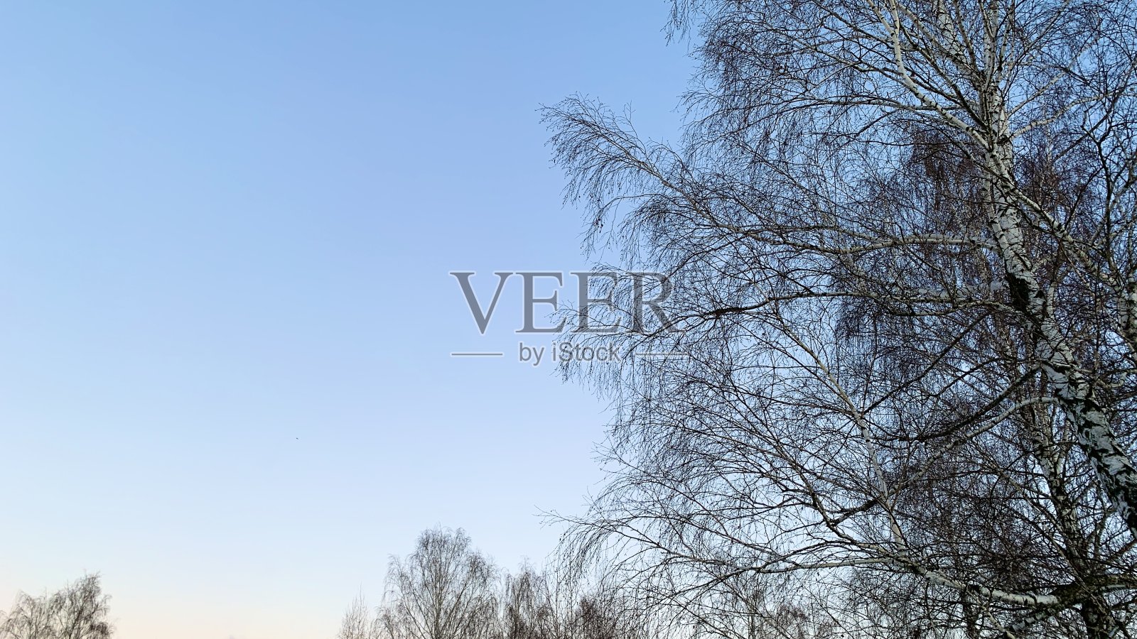 冬天的蓝天照片摄影图片