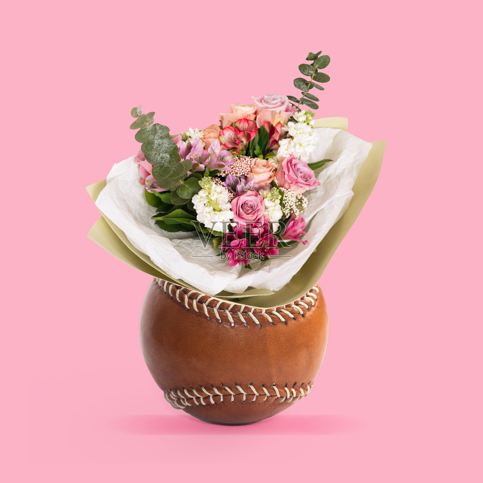 花瓶里的一束棕色皮革棒球花。当代艺术。现代设计照片摄影图片