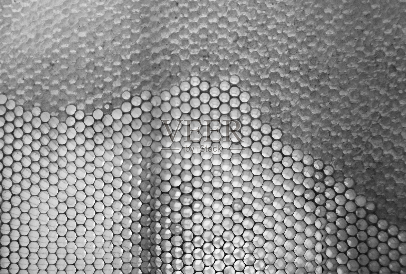 蜂窝照片摄影图片