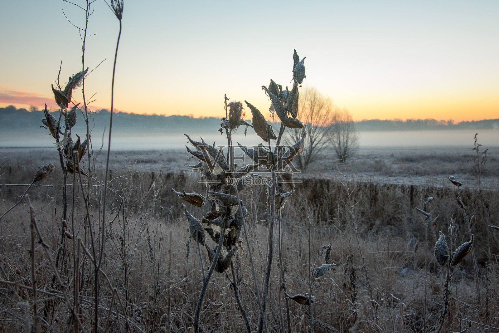 夕阳下田里的干草。自然照片摄影图片