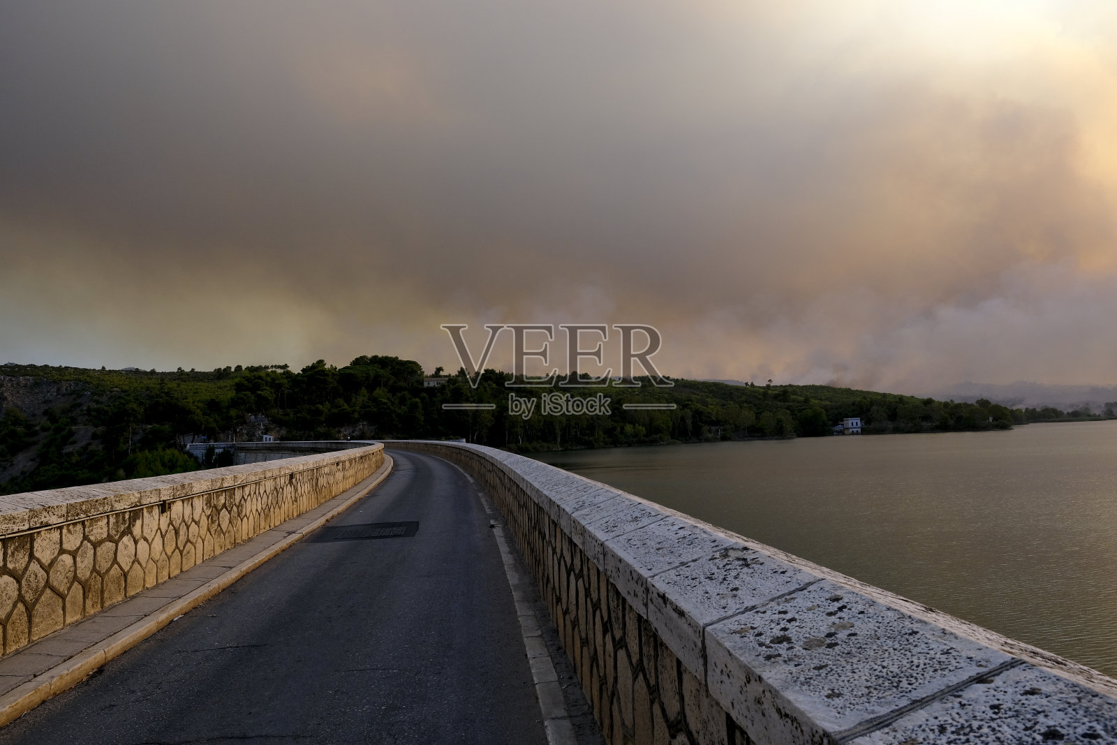 野火中，一片松树林正在燃烧照片摄影图片
