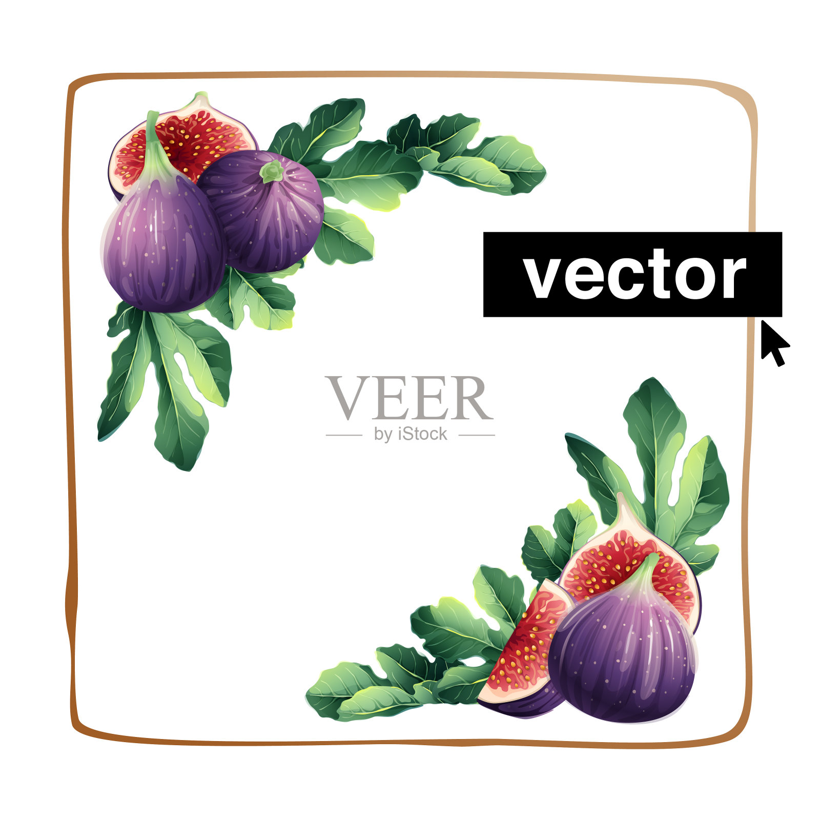 水彩现实的矢量风格的插图。角边与黄金框架。插画图片素材