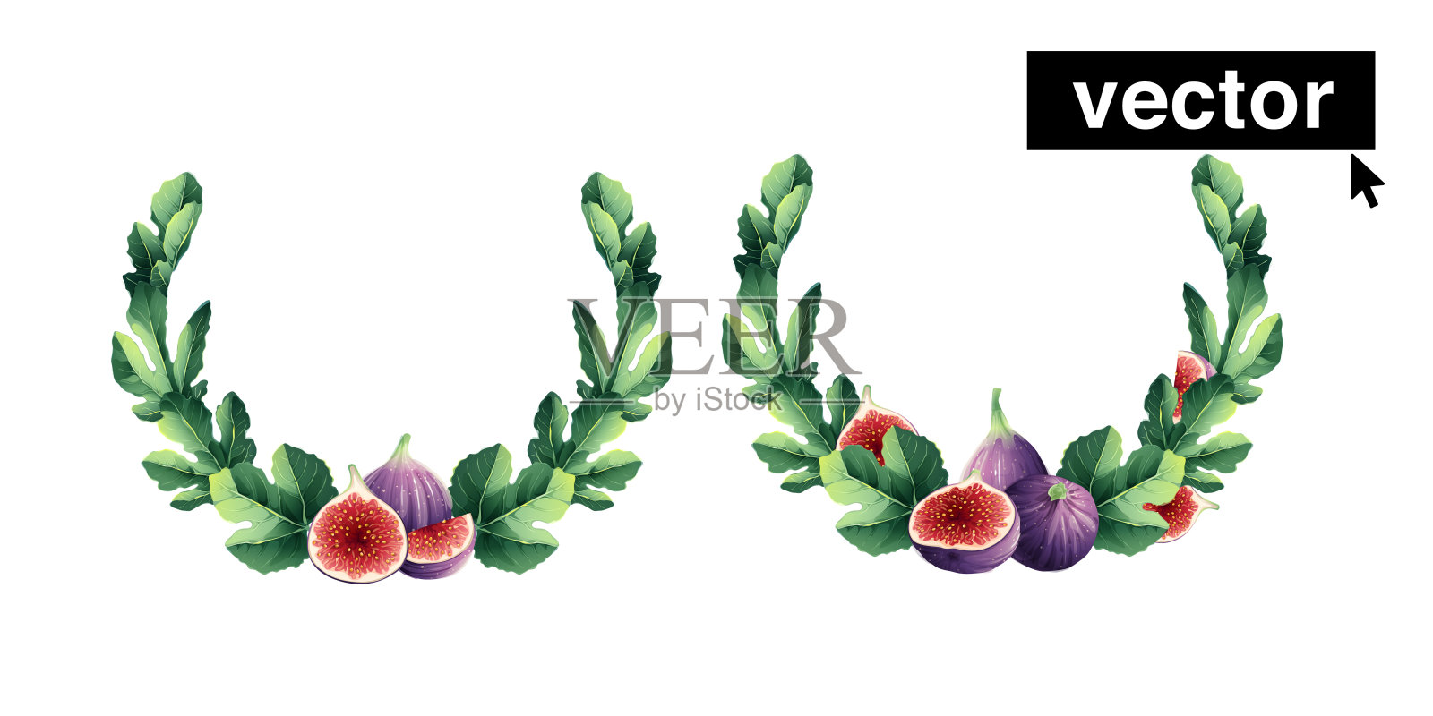 矢量水彩手绘插图。新鲜成熟的紫色无花果果实和带叶子的切片。插画图片素材