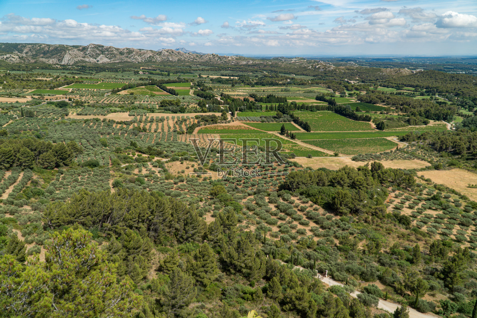 普罗旺斯堡的孩子们照片摄影图片