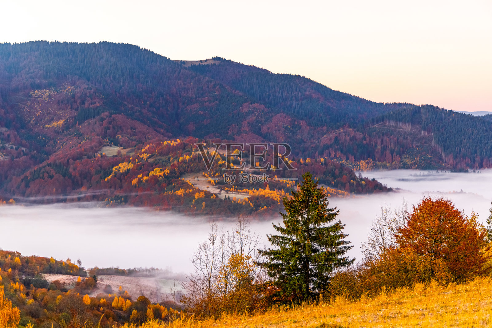 秋日雾霾笼罩着山冈背靠峡谷照片摄影图片