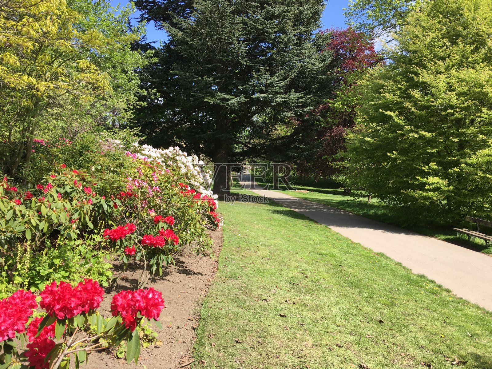 利兹花园和公园照片摄影图片