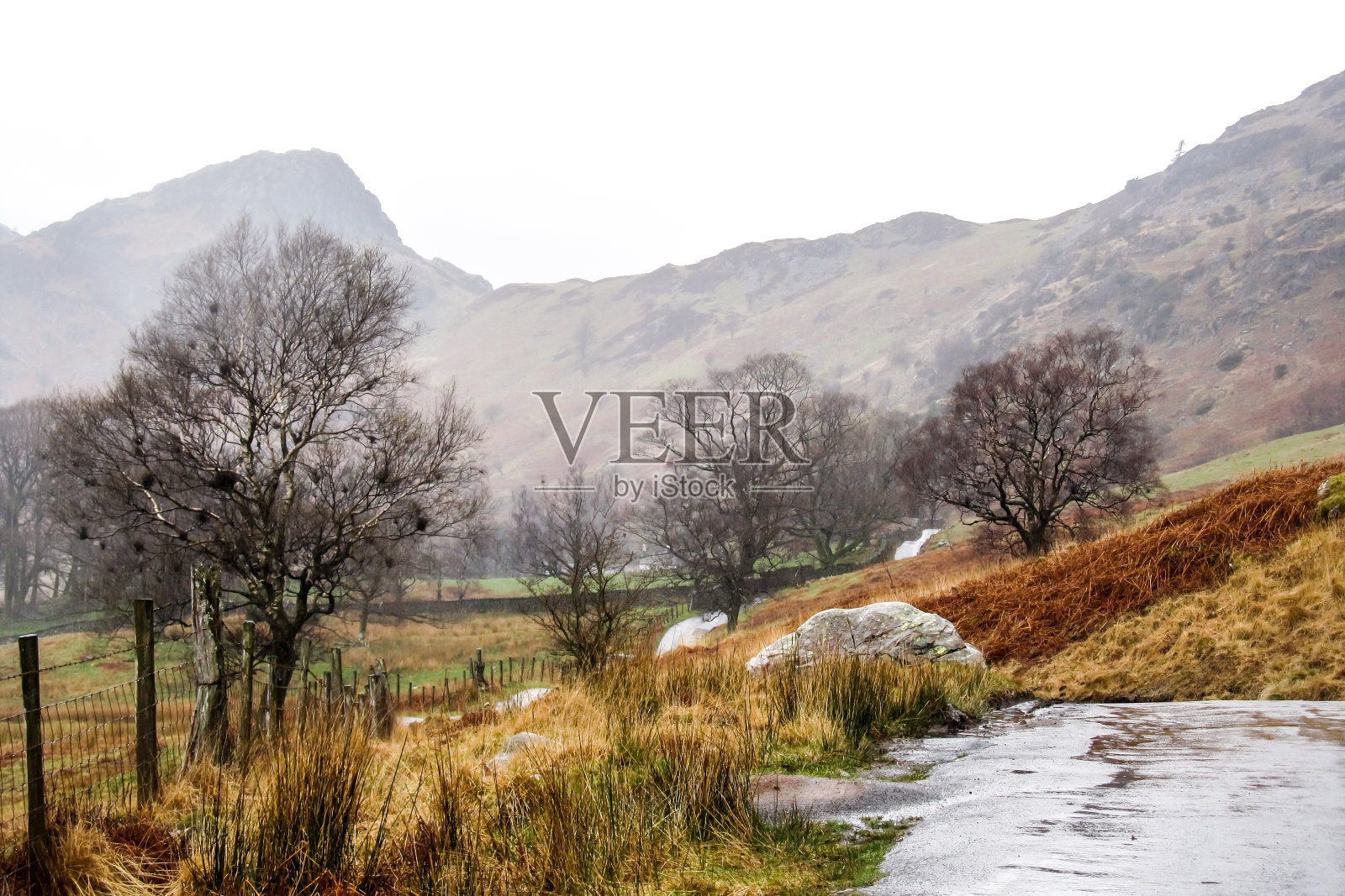 一个阴雨的日子，在英格兰湖区的一个山口的底部，一条被几棵小树环绕的潮湿的道路照片摄影图片