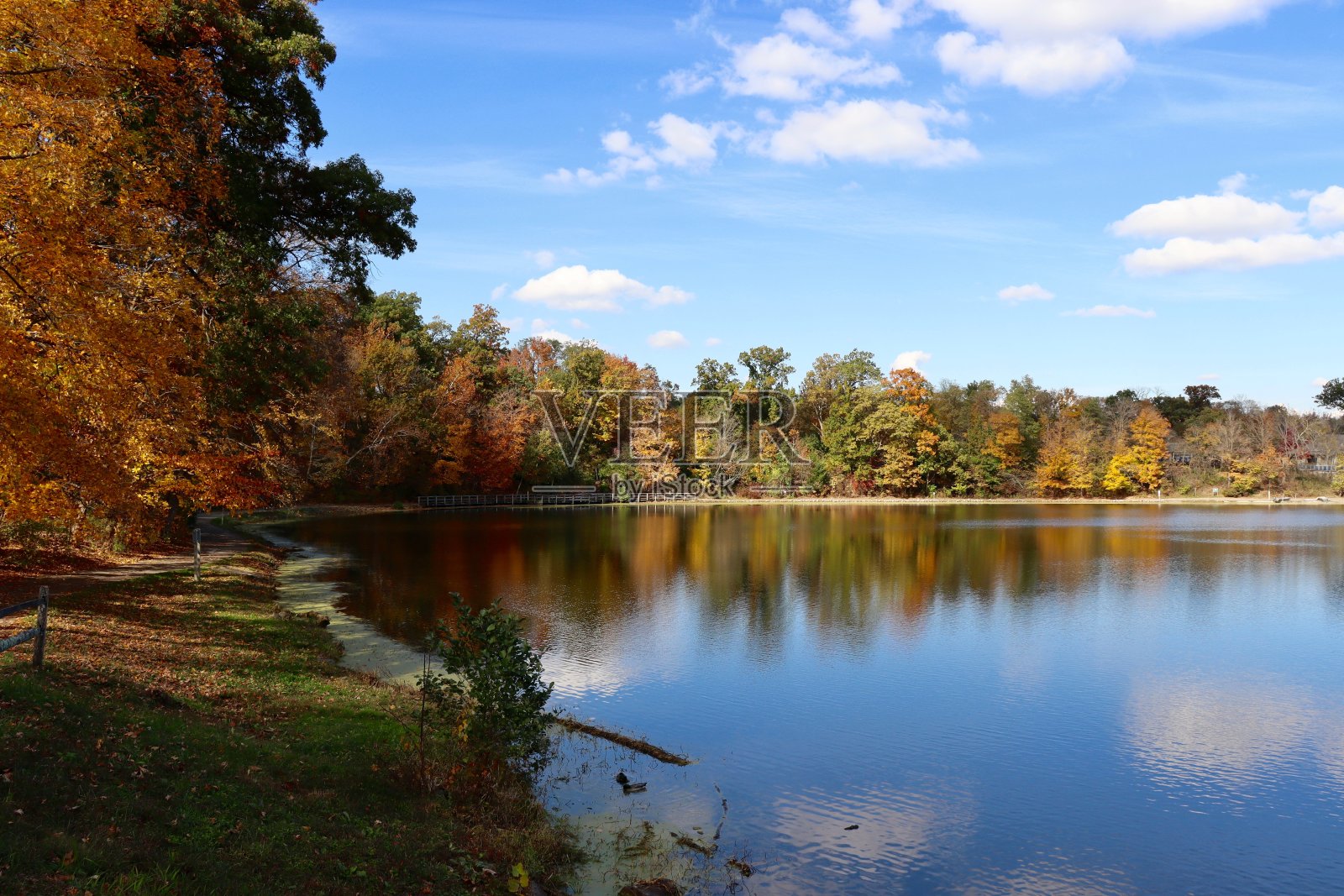 美丽的秋湖照片摄影图片