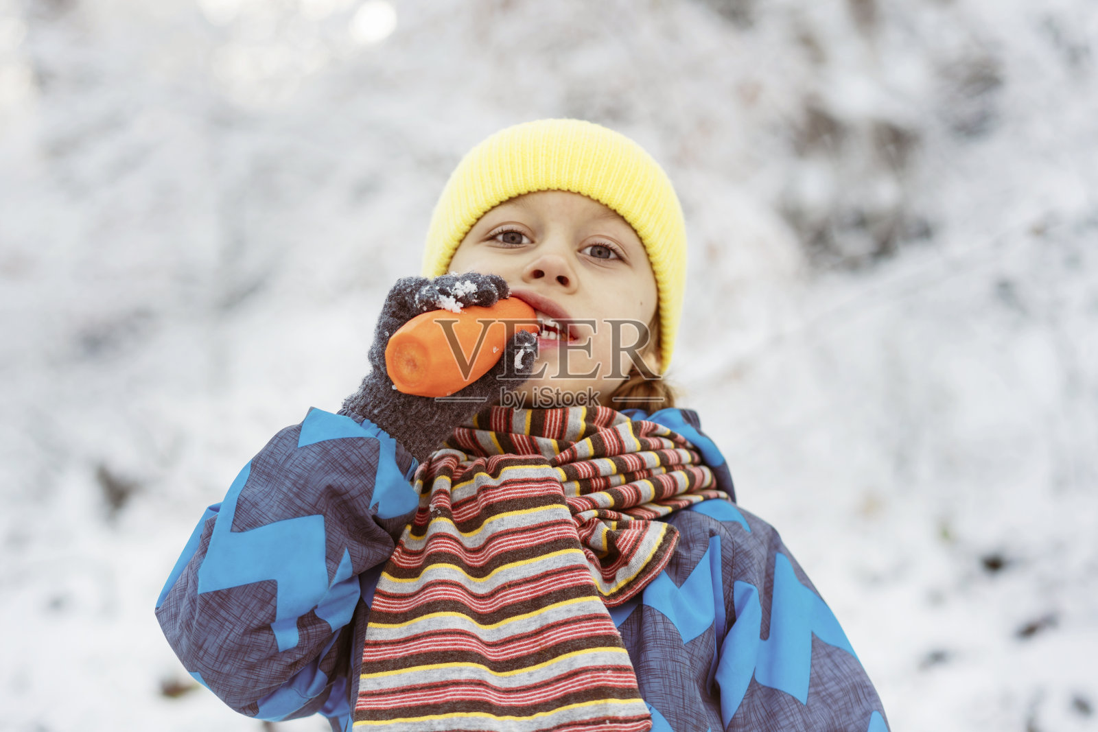 穿着暖和衣服的小男孩从雪人的鼻子上咬下一根胡萝卜照片摄影图片