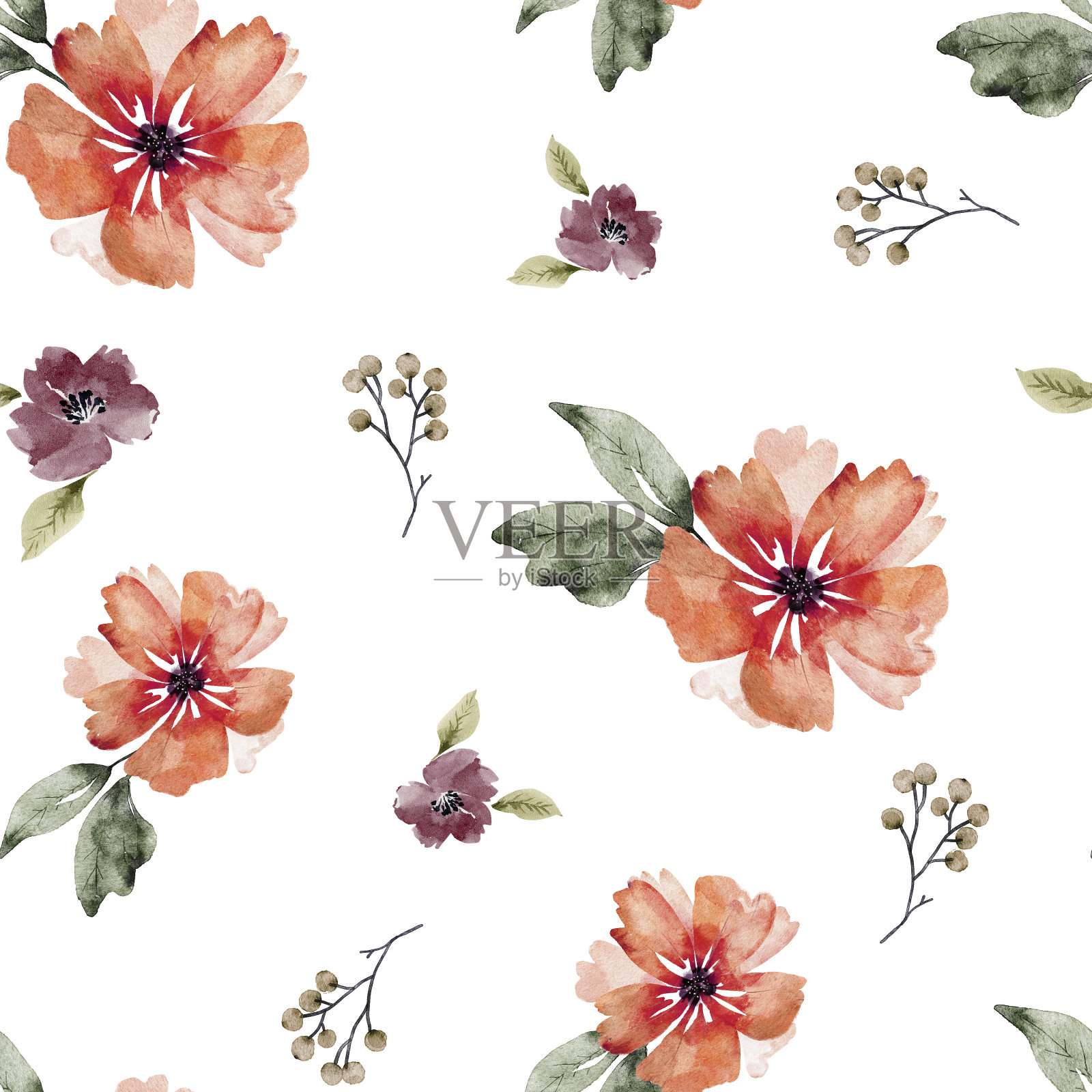 无缝的花卉图案与精致的红色花朵和白色背景上的叶子，手绘水彩。插画图片素材