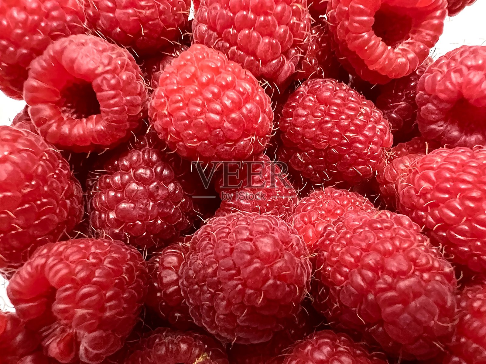 红莓照片摄影图片