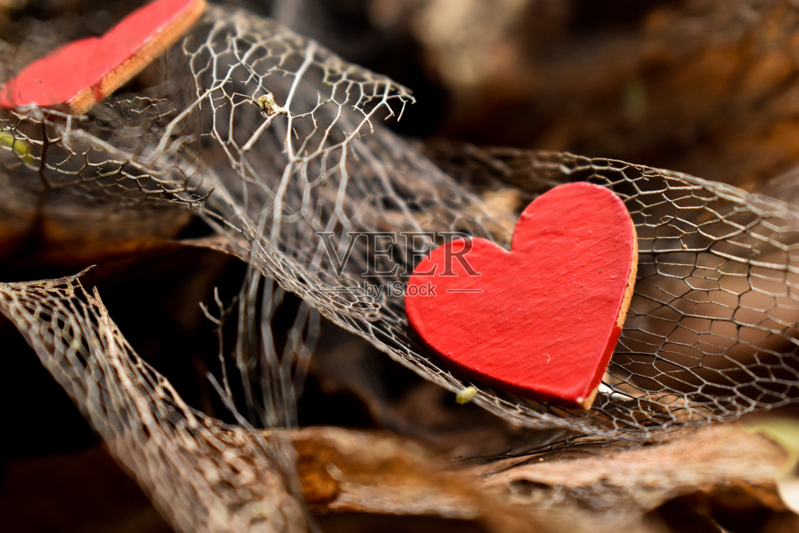心形、形状和纹理照片摄影图片
