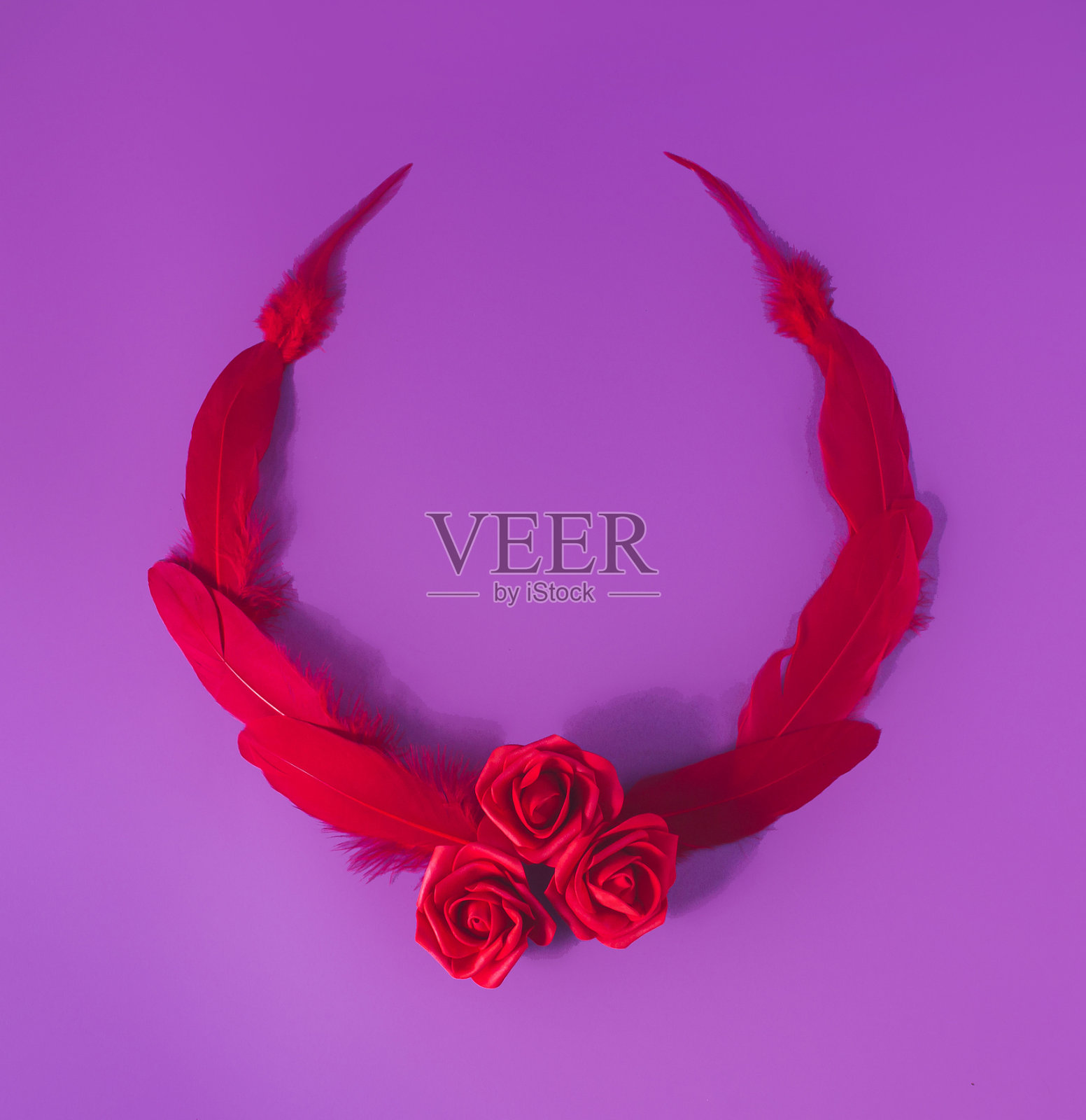 红色的羽毛和玫瑰花环衬着紫色的紫罗兰色背景。情人节平躺最小的概念。大胆的颜色框架与复制空间的爱的信息照片摄影图片